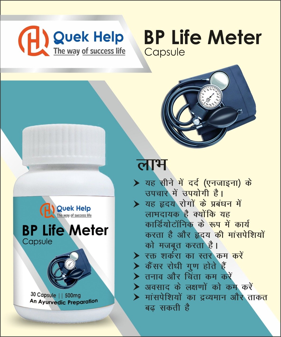 BP LIFE METER